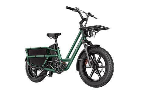 The Fiido T2 Cargo EBike Brings Ultra Long Range Powerful Motor And