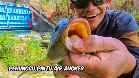 Nekat Mancing Ikan Nila Purba Penghuni Pintu Air Keramat Youtube