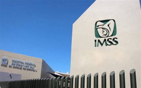 Imss Favoreci Con Mdp De Contratos A Empresa Fantasma Asf