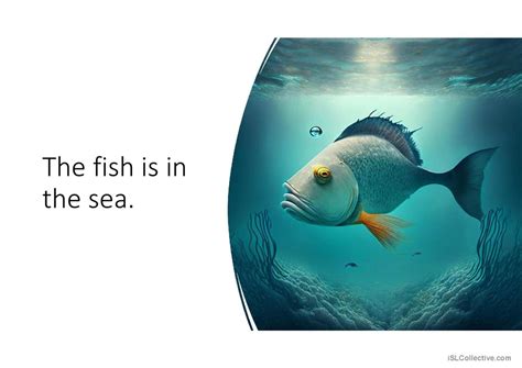 Simple Sentences General Vocabulary English Esl Powerpoints