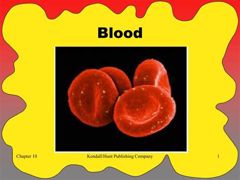 PPT - Chapter 10 Blood PowerPoint Presentation, free download - ID:2760548 