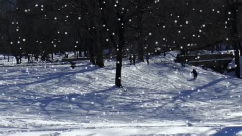 Winter Snow GIF - Winter Snow - Discover & Share GIFs