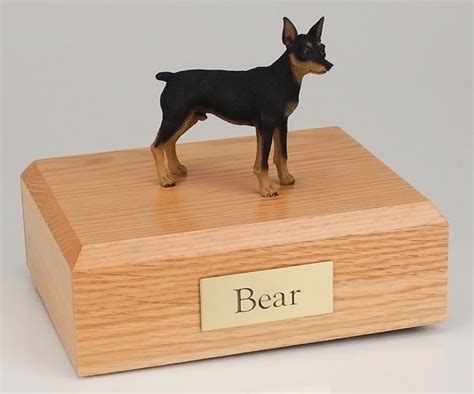 Miniature Pinscher Cremation Figurine Urn Wwooden Storage Box