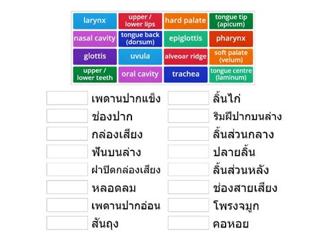 Articulation Organs Match Up