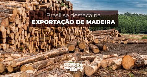 Brasil se destaca na exportação de madeira Revista Campo Negócios