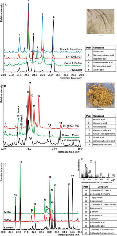 Partial Extracted Ion Current XIC Chromatograms Of Trimethylsilylated