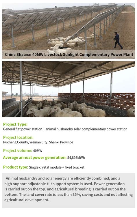 Factory Wholesale Price Hybrid Solar Farm System 20kw 50kw 100kw 1mw