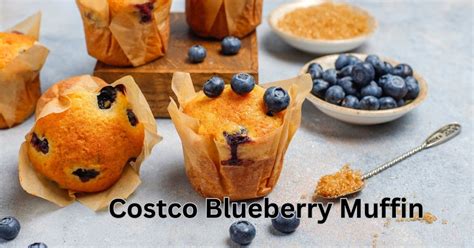 Unveiling The Truth About Costco Blueberry Muffin Nutrition