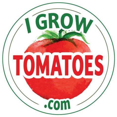 How To Grow Your Own Tomato Plants From Seed The Simple Secrets To