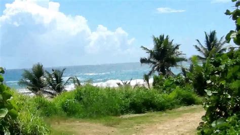 Royal Isabela Resort In Puerto Rico The Walk Down To The Beach Youtube