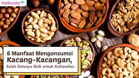 6 Manfaat Mengonsumsi Kacang Kacangan Salah Satunya Baik Untuk Kehamilan