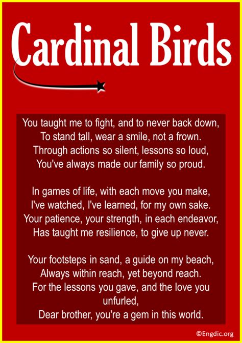 10 Short And Inspirational Poems About Cardinal Birds Engdic