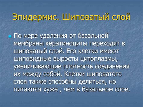 Кожа - online presentation