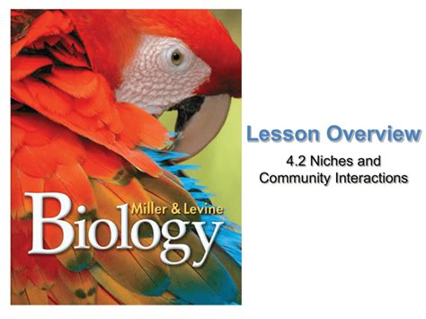 Niches And Community Interactions Biology Lesson
