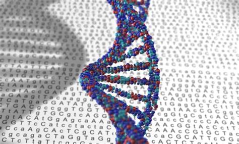 EU pharma trade body starts genomic profiling initiative to improve ...