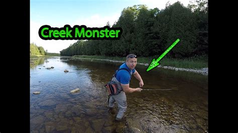 Creek Monsters Unexpected Results Youtube