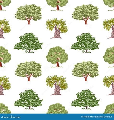 Seamless Background Of Sketches Various Deciduous Trees Stock Vector