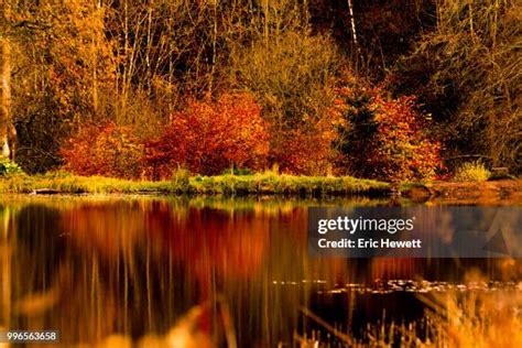 1,068 Peni Stock Photos, High-Res Pictures, and Images - Getty Images