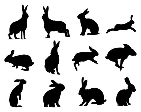 Premium Vector The Set Of Hare Or Rabbit Silhouette Collection