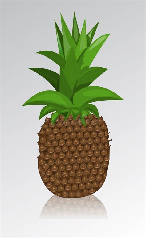 Vector Pineapple Stock Vector Illustration Of Color 26588634