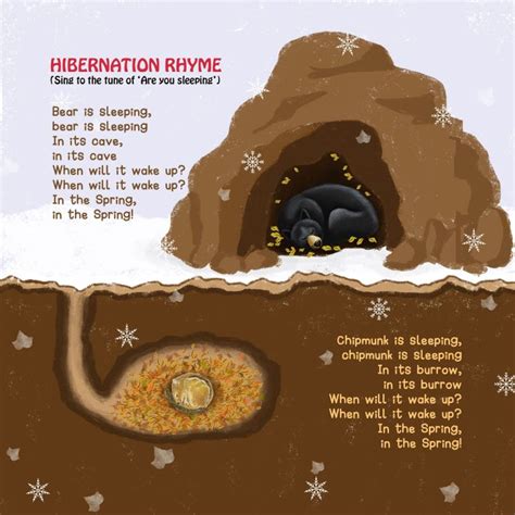 Hibernation - Animal Adaptations | Science for Kids | Kidpillar Journal