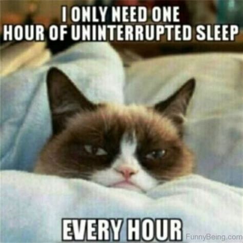 71 Funny Cant Sleep Memes For Nights When Insomnia Is Kicking In