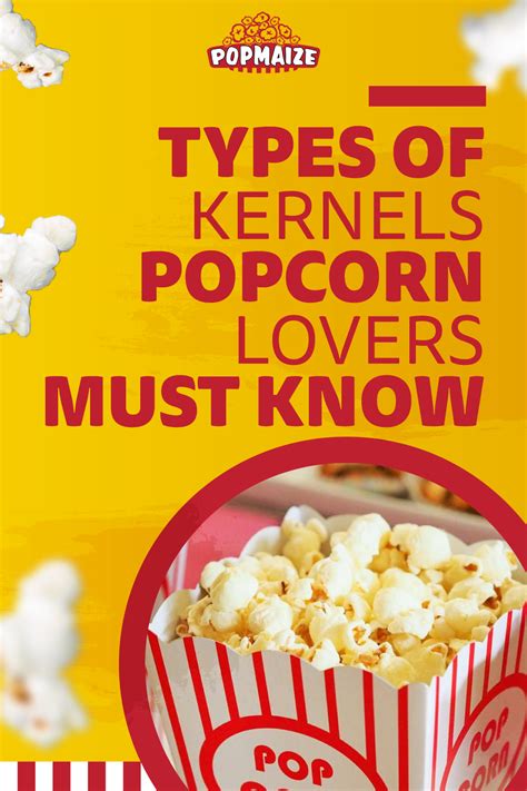 Different Types Of Popcorn Kernels