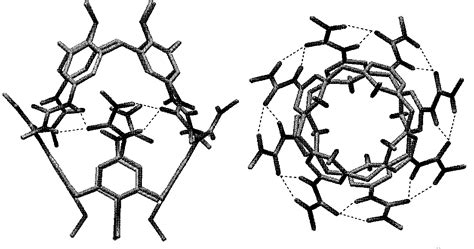 Figure 1 from Investigating Molecular Recognition by Mass Spectrometry ...