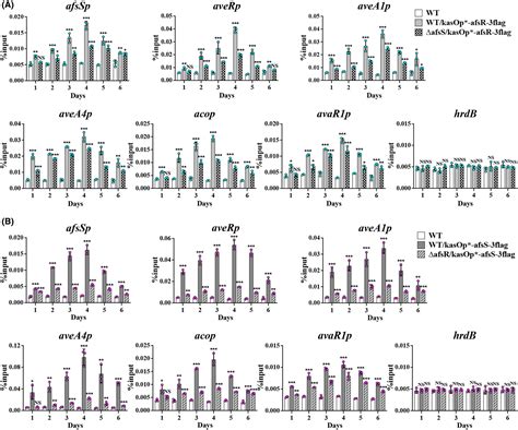 Streptomyces Global Regulators Afsr And Afss Interact To Co‐regulate Antibiotic Production And