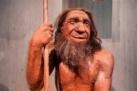 Big Difference Between Neanderthal And Modern Human Brains Discovered