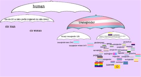 The Gender Explainer Lgbt Humor Genderqueer Lgbt Pride Art