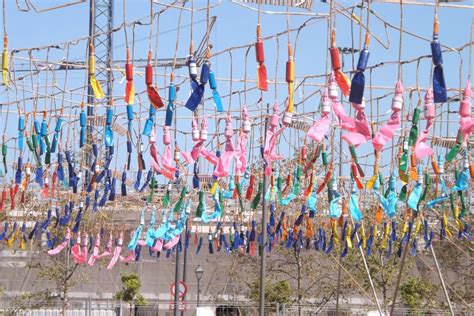 Programa Pirot Cnic De Les Falles De Festa En Festa