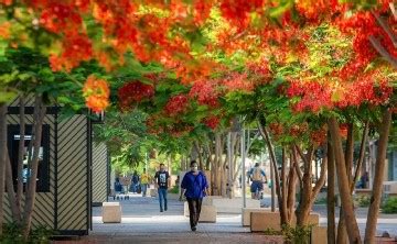 Clima En Guadalajara Jalisco Hoy De Febrero