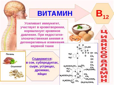 Витамин B12 (Кобаламин) - влияние на организм, польза и вред, описание ...