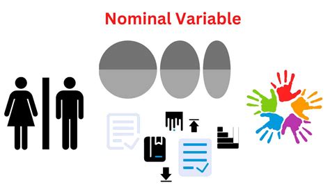 Ejemplos De Variable Nominal