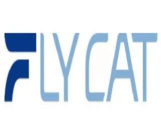 FLYCAT Flycat Electrical Co Ltd Trademark Registration