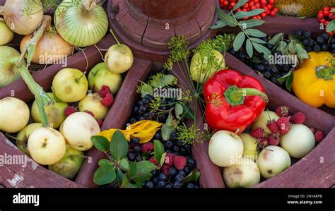 Fruit And Vegetable Varieties Between Spokes Of An Old Wooden Cartwheel