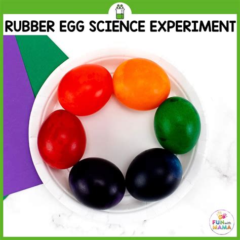 Easy Egg in Vinegar Experiment - Fun with Mama