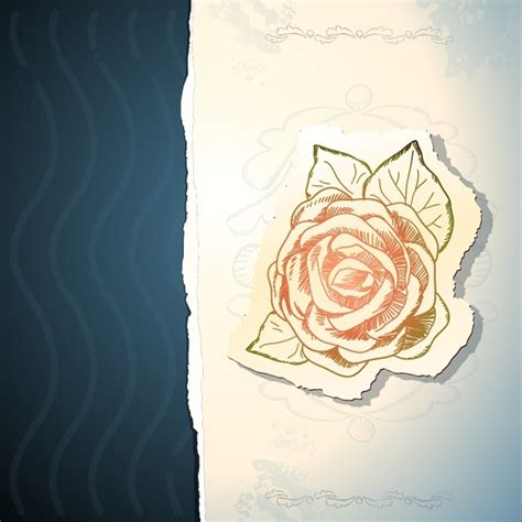 Vintage Rose Floral Stickers Vector Vectors Graphic Art Designs In Editable Ai Eps Svg Format