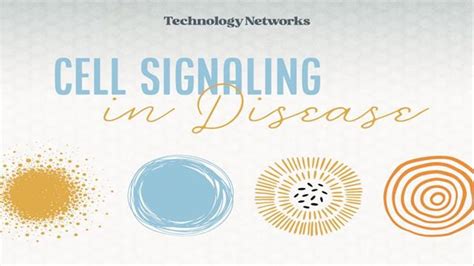 Cell Signaling In Disease Technology Networks