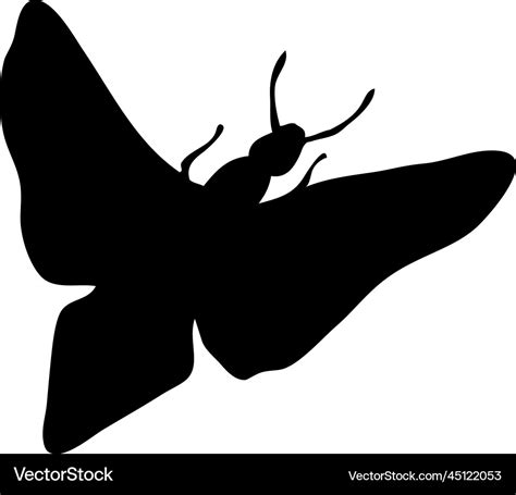 Moth Silhouette Royalty Free Vector Image Vectorstock