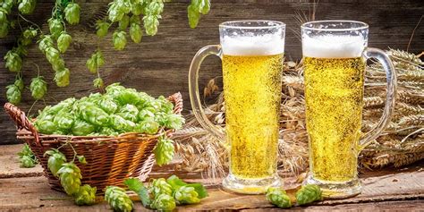 Piwo Grodziskie The Polish Wheat Beer That Nearly Went Extinct Beer