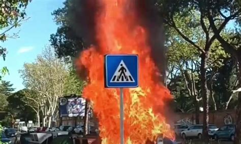 Roma Va A Fuoco Un Cassonetto In Via Ramazzini Il Video Diventa Virale