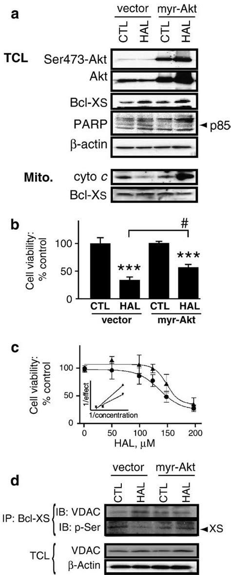 Membrane Directed Constitutively Active Akt Diminishes The Effects Of