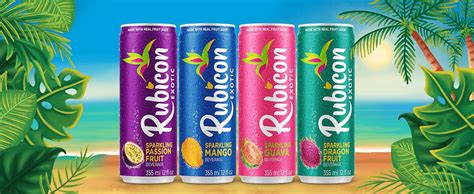 Rubicon Sparkling Guava Beverage Pack Of 12 355 Ml Cans Fruit