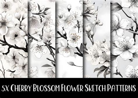 Sketch Cherry Blossom Pattern Designs Graphics