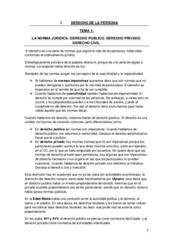 Derecho Civil Persona Y Bienes Completo Pdf