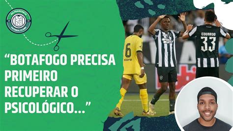 Botafogo Inicia Temporada De ReconstruÇÃo ApÓs Perder BrasileirÃo