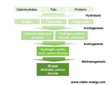 Biogas Chp Cogeneration Combined Heat And Power