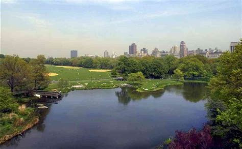 Body Found In Turtle Pond In Central Park